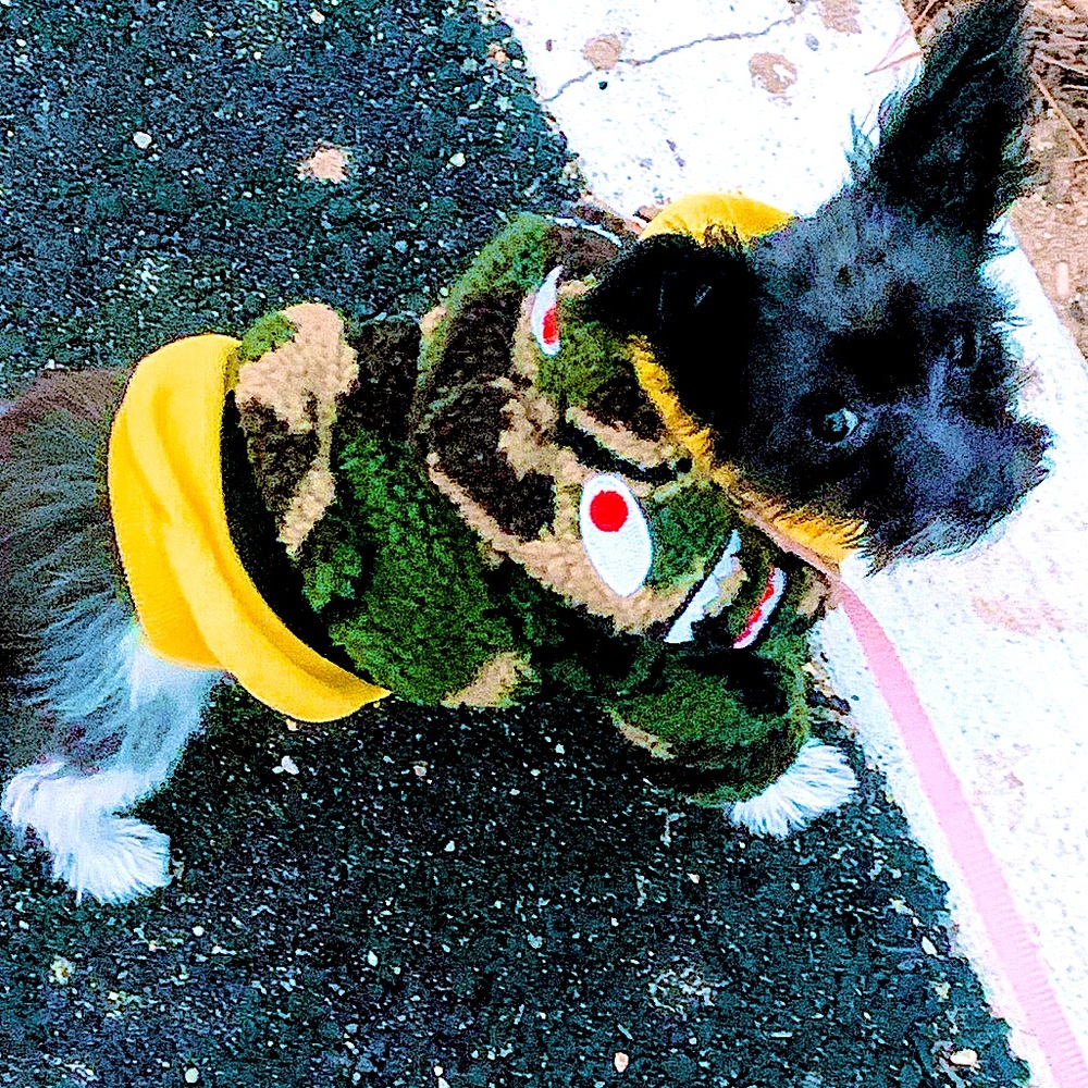 Puppy BAPE Fleece zip up jacket